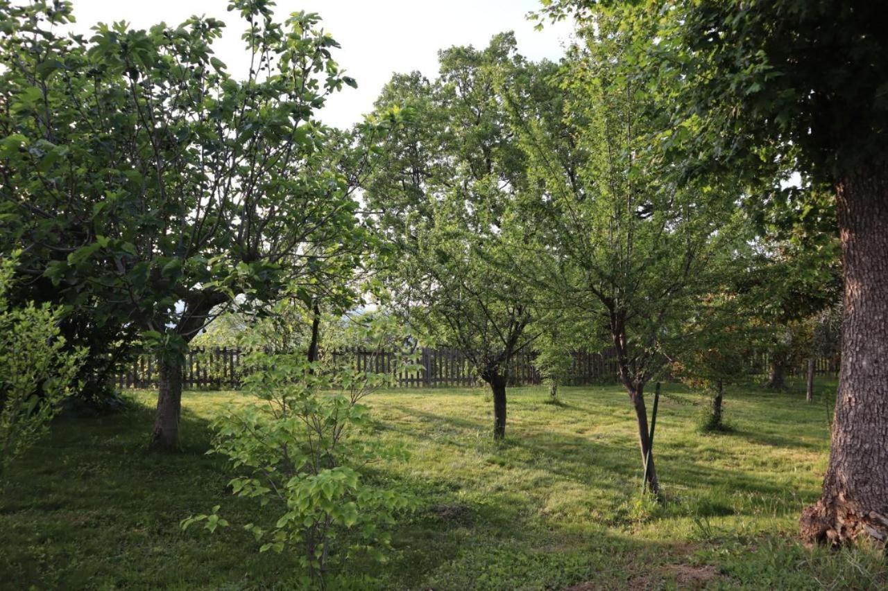 Villa Strada Dei Monti Sibillini Montefortino Экстерьер фото
